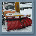 Sgombro neve - vai alla pagina